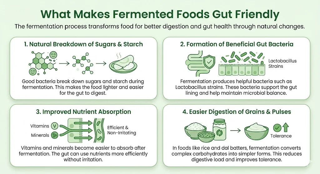 What Makes Fermented Foods Gut Friendly?
