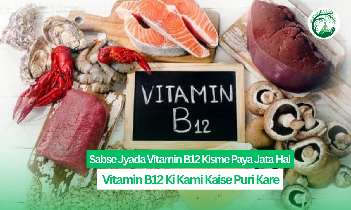 Sabse Jyada Vitamin B12 Kisme Paya Jata Hai Vitamin B12 Ki Kami Kaise Puri Kare